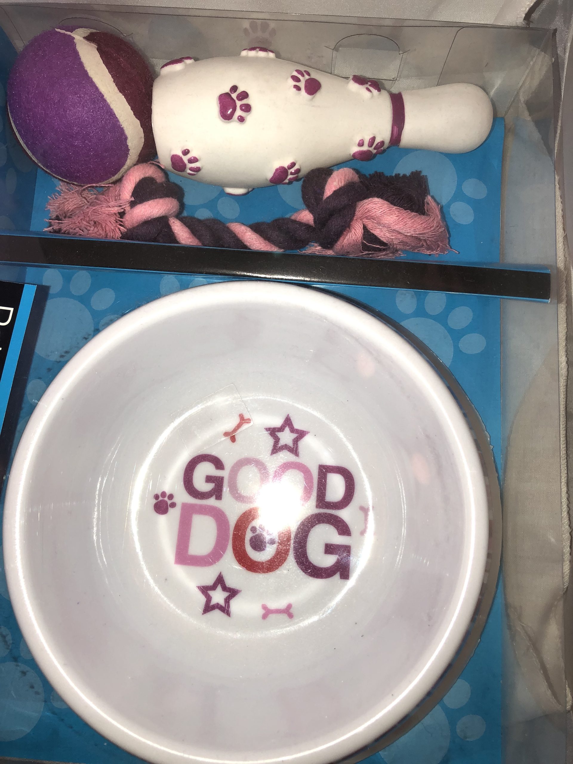 Purple Pet Gift Set